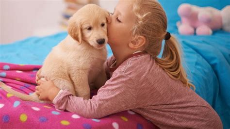 5 best pets for kids (and 3 to avoid!) - Today's Parent