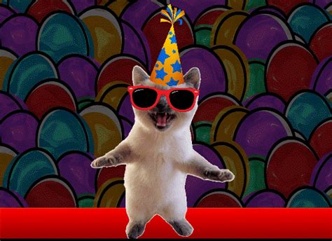 Funny Cat Colorful Thank You. Free Birthday Thank You eCards | 123 Greetings