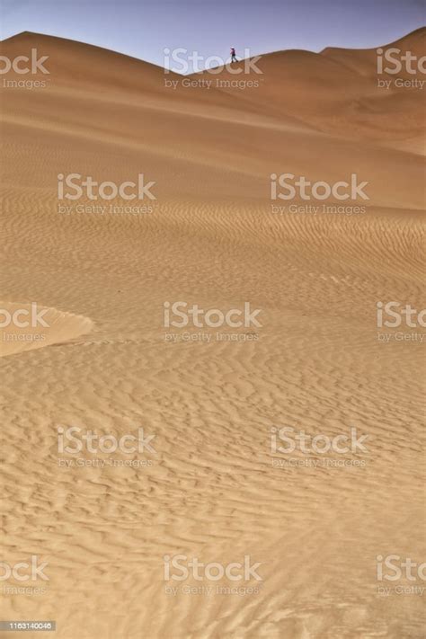 Background Padang Pasir Hd : 10 000 Best Desert Photos 100 Free Download Pexels Stock Photos ...