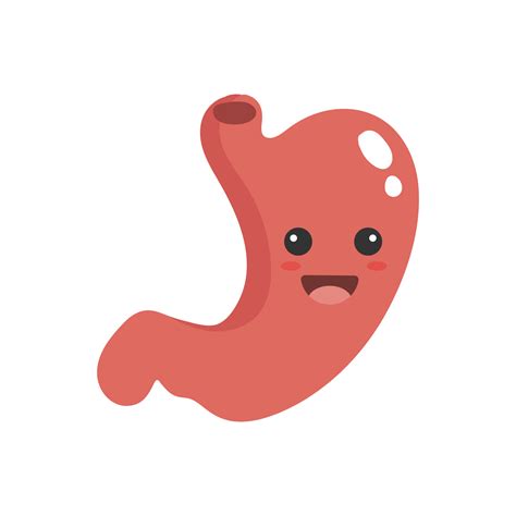 Cute cartoon stomach. Stomach illustration. 10789823 PNG