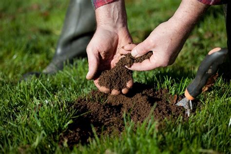 How To Grow Grass In Clay Soil In 5 Simple Steps