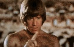 Chuck Norris Roundhouse Gif