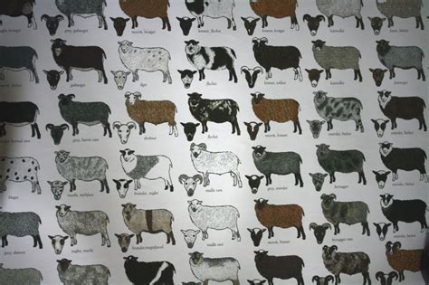 an image of cows on a wallpapered room with words written in black and white