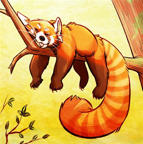 red panda by unbadger on DeviantArt