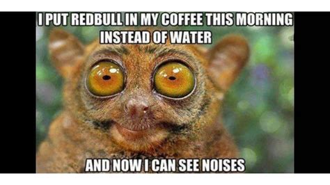 45 Funny Coffee Memes all humor and coffee lovers can not miss