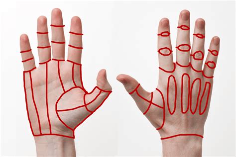 Modeling a Human Hand Topology Guides