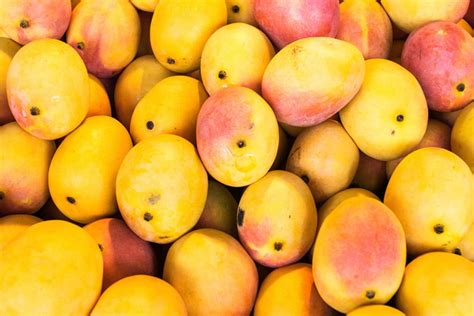 Bihar Govt Plans To Increase Crops Of Mango Varieties From Seeds