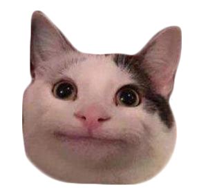 politecat - Discord Emoji