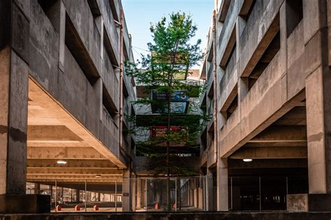 A lone tree grows in an abandoned parking garage originally built for the now-demolishedReunion ...