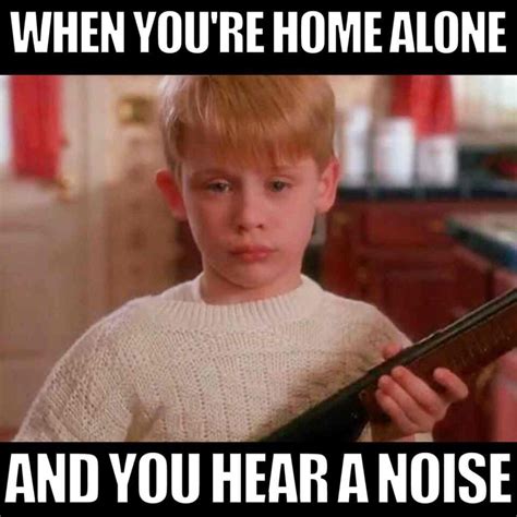 15 Home Alone Memes To Get You In The Holiday Spirit