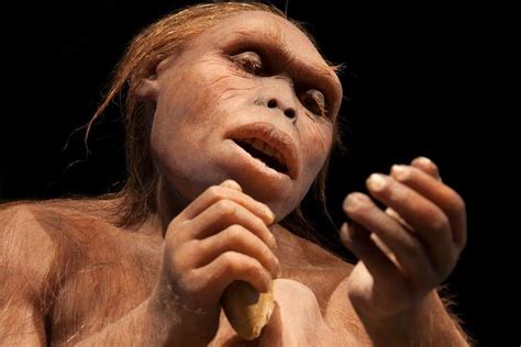 Fósil de cráneo revela que Homo erectus es 200,000 años más antiguo de ...