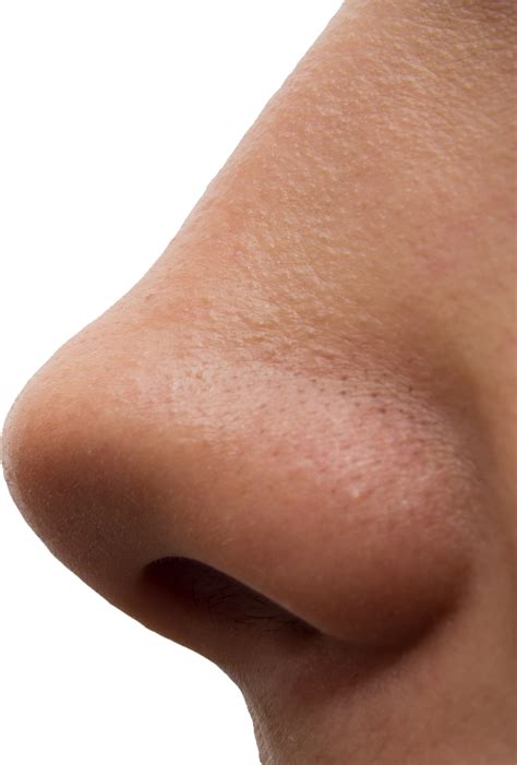 Nose PNG Transparent Images