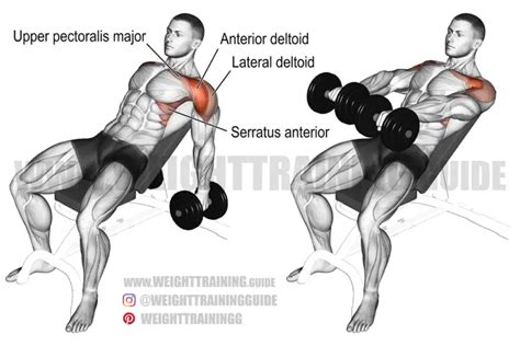 Dumbbell fly exercise instructions and videos | Weight Training Guide