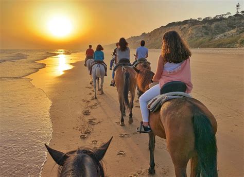 Horseback Riding on the Beach: Read this Before you Book ...