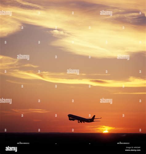 Plane taking off at sunset Stock Photo - Alamy