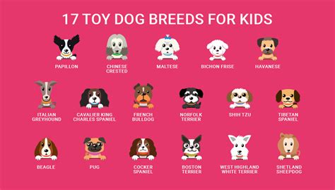 17 Small Dog Breeds That Are Good With Kids and Perfect for Families