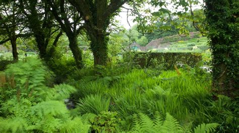 Kylemore Abbey Tours - Book Now | Expedia