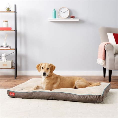 Waterproof Dog Bed | The Best Waterproof Dog Beds