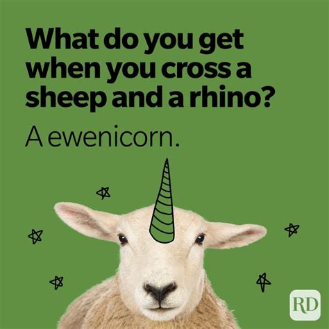 36 Sheep Puns You Haven't Herd Before | Reader's Digest