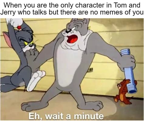 160+ Funny Tom And Jerry Memes To Keep You Laughing – FandomSpot