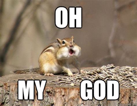 Shocked Chipmunk memes | quickmeme