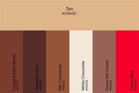 Tan Color: Its Meaning, Codes, and Top Palette Ideas - Picsart Blog