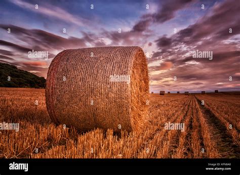 Straw bales in sunset Stock Photo - Alamy