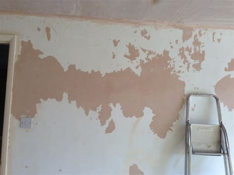 Painting Over Patchy Paint/plaster - Painting - DIY Chatroom Home Improvement Forum