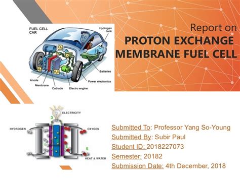 proton exchange membrane fuel cell