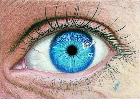 Best Free Realistic Eye Drawing Pencil Sketch Free For Download ...