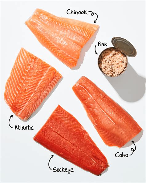 Types of Salmon: A Visual Guide to Wild and Farmed Salmon | The Kitchn