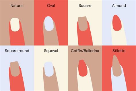 How to find the best nail shape for your hands in 2024 | Acrylic nail shapes, Short nail bed ...