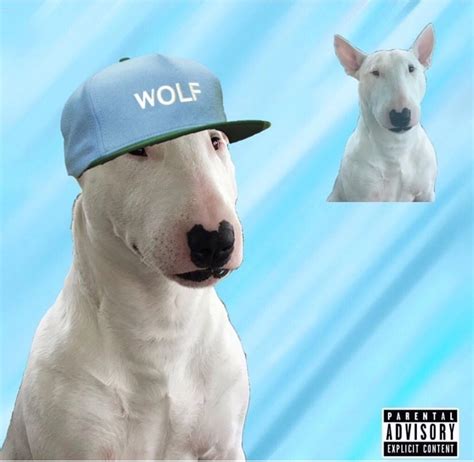 Tyler, the Creator - Wolf : r/DogAlbumCovers