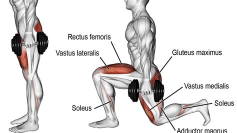 Lunges Exercise Guide: Muscles Worked, Benefits, How-to, and Variations