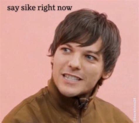 louis meme | One direction memes, One direction louis, Meme faces