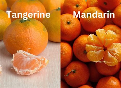 Tangerine vs Mandarin: What's the Difference? - Eat Your Beets