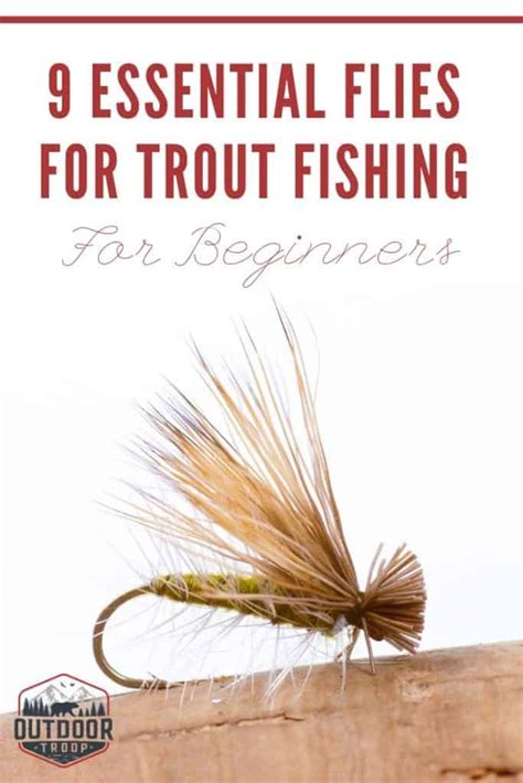 Thinking about trout fishing and wanting to be the most successful you can be? Here are 9 ...