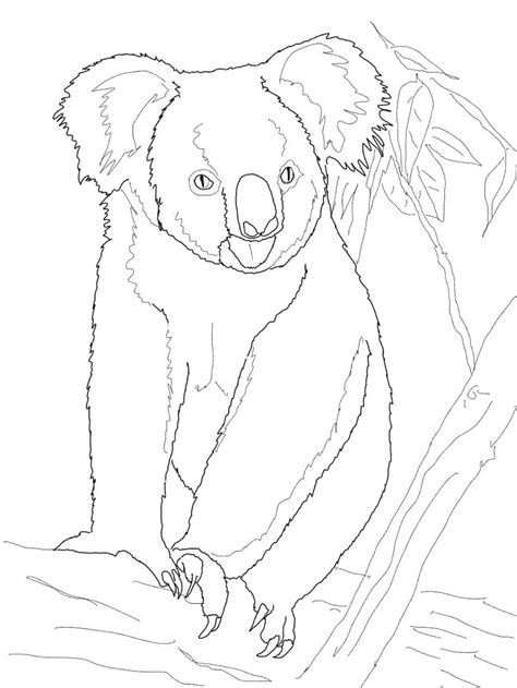 Cute Koala Coloring Page - Free Printable Coloring Pages for Kids