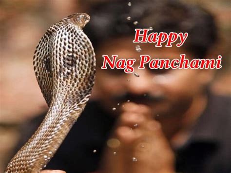 Nag Panchami 2020 Puja Vidhi, Muhurat, and How to Perform it at Home ...