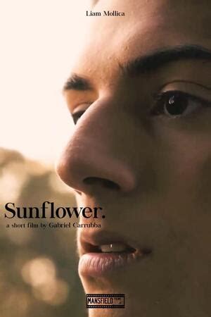 Sunflower (2024) - Trakt