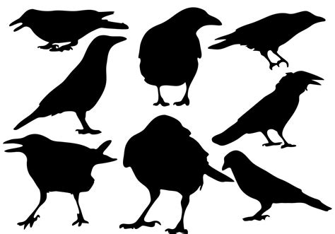 Free Raven Silhouette Vector 95560 Vector Art at Vecteezy