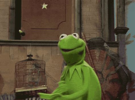 Muppets Muppet Show GIF - Muppets Muppet Show Kermit - Discover & Share GIFs