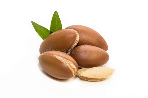 Argan seeds stock image. Image of group, organic, africa - 102398809