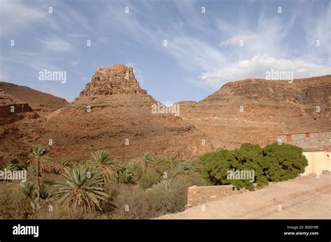 Oasis near sahara desert Stock Photo - Alamy