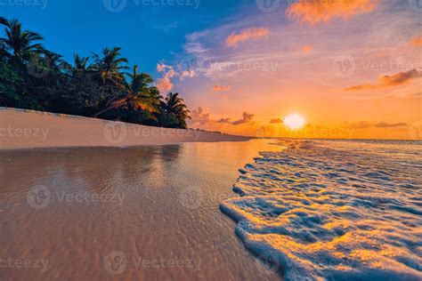 Tranquil summer vacation or holiday landscape. Tropical island sunset beach view palm tree ...