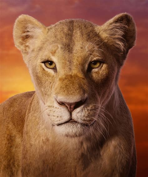 Beyoncé's Nala Voice In The New Lion King Trailer Is Truly Mesmerising ...