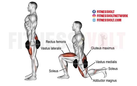 Ultimate Guide to Mastering the Dumbbell Lunge for Full Leg Strength – Fitness Volt