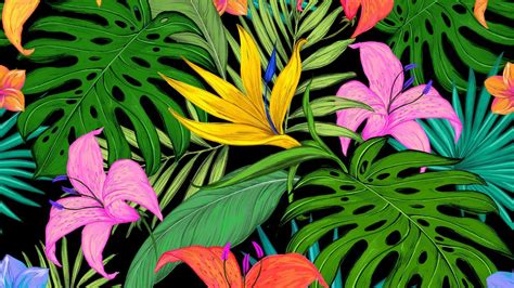 Tropical Flowers Wallpapers - Top Free Tropical Flowers Backgrounds - WallpaperAccess