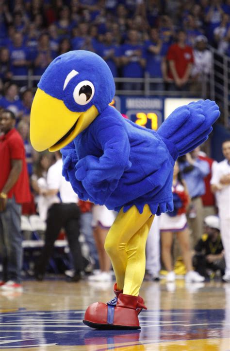 Retro Centennial Jay helps celebrate 100 mascot years | News, Sports, Jobs - Lawrence Journal ...