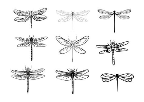 Dragonfly Tattoo Set Vector (EPS, SVG) | OnlyGFX.com